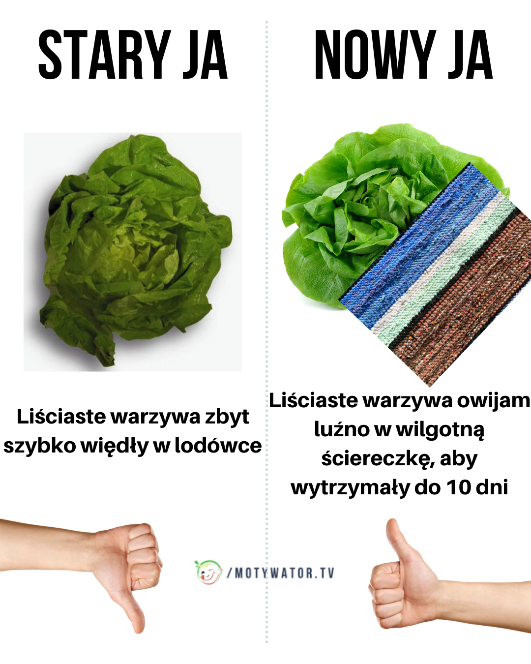 Stary, nowy ja - warzywa liściaste