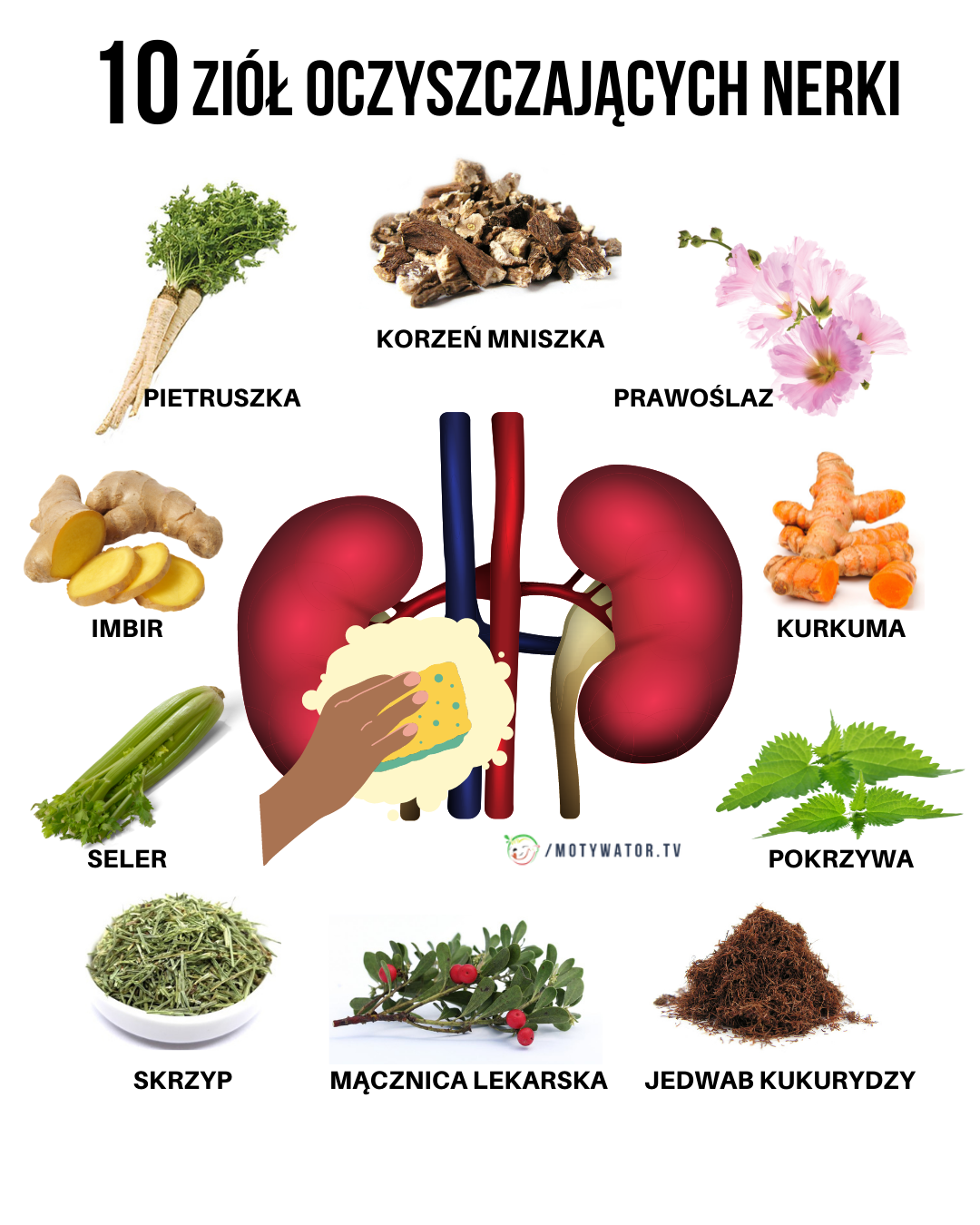 10 ziół oczyszczających nerki