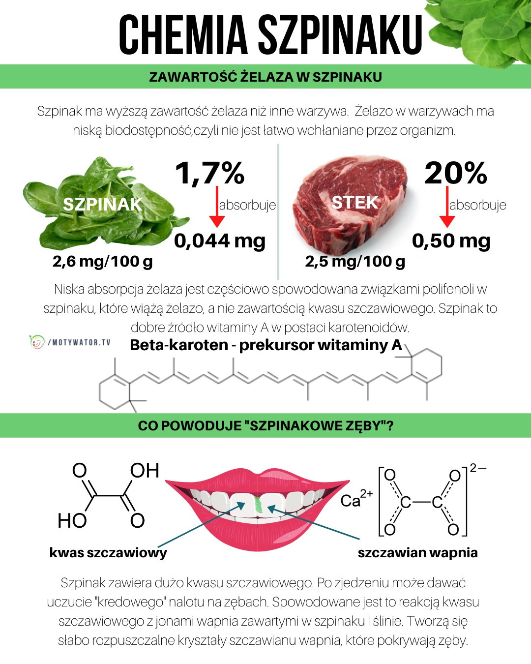Chemia szpinaku - zawartość żelaza