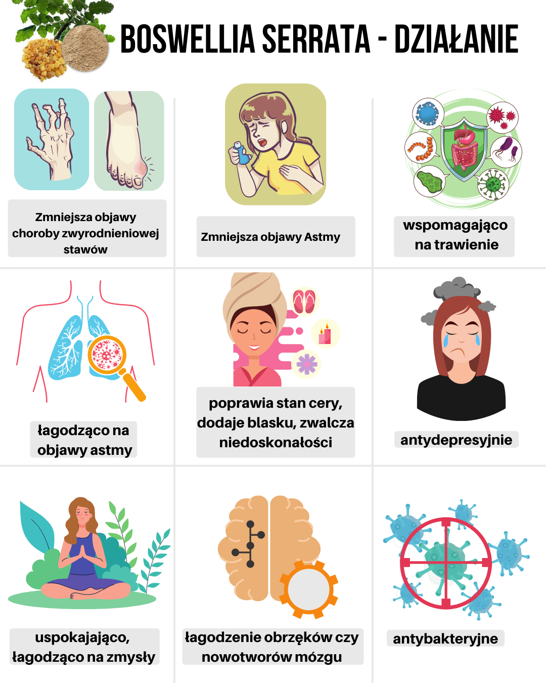 Boswellia serrata - działanie