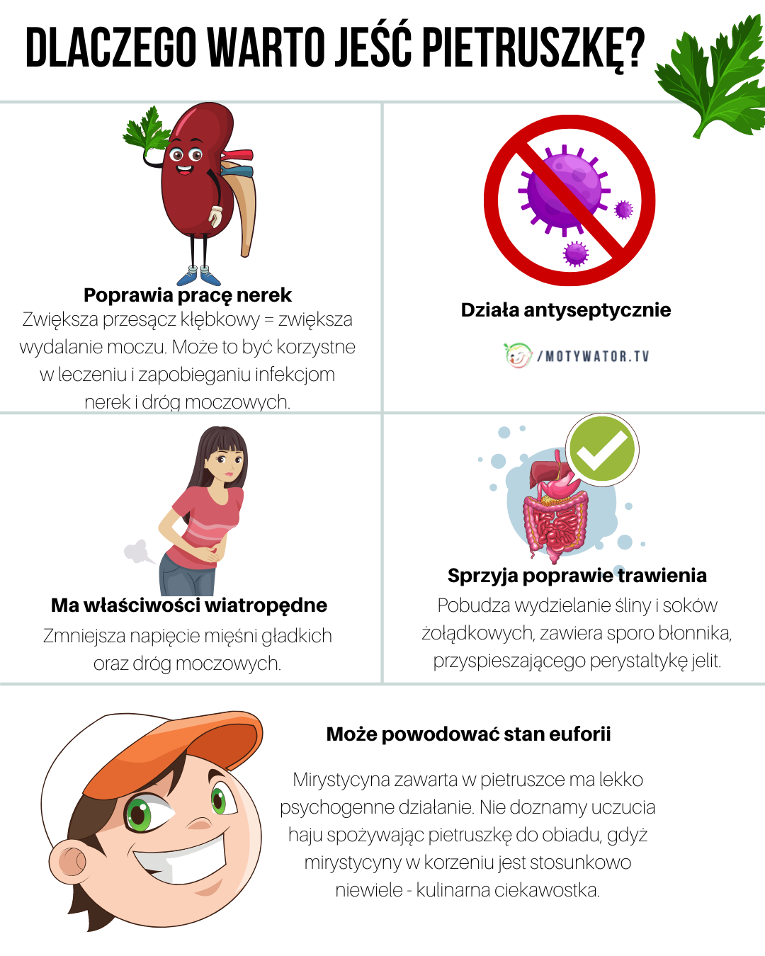 Dlaczego warto jeść pietruszkę ?