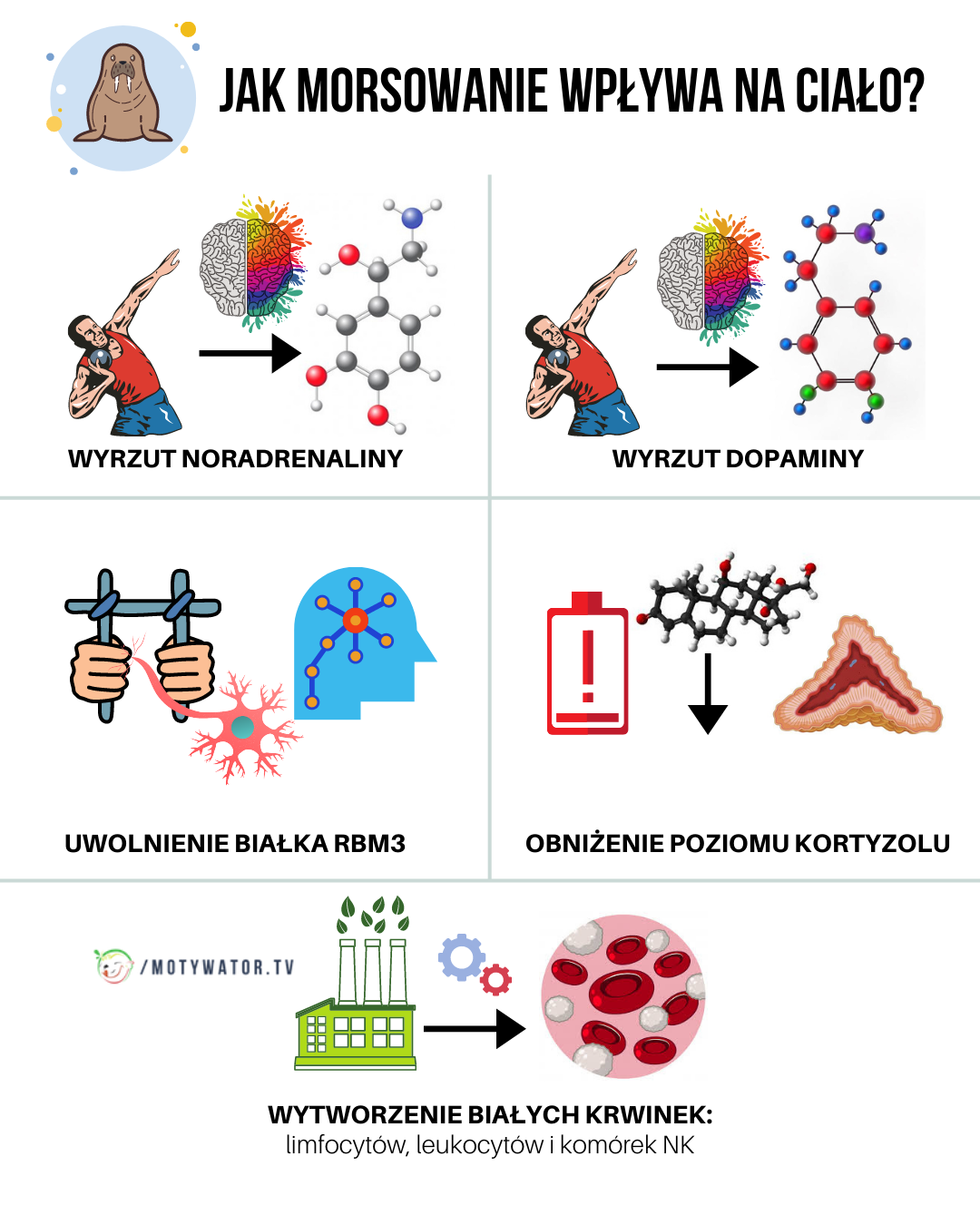 Jak morsowanie wpływa na ciało ?