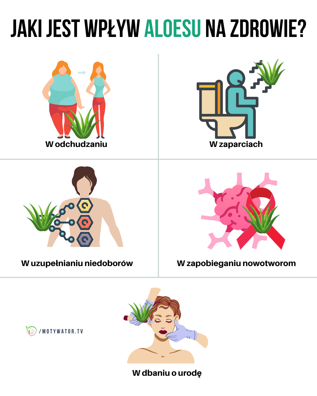 Jaki jest wpływ aloesu na zdrowie ?