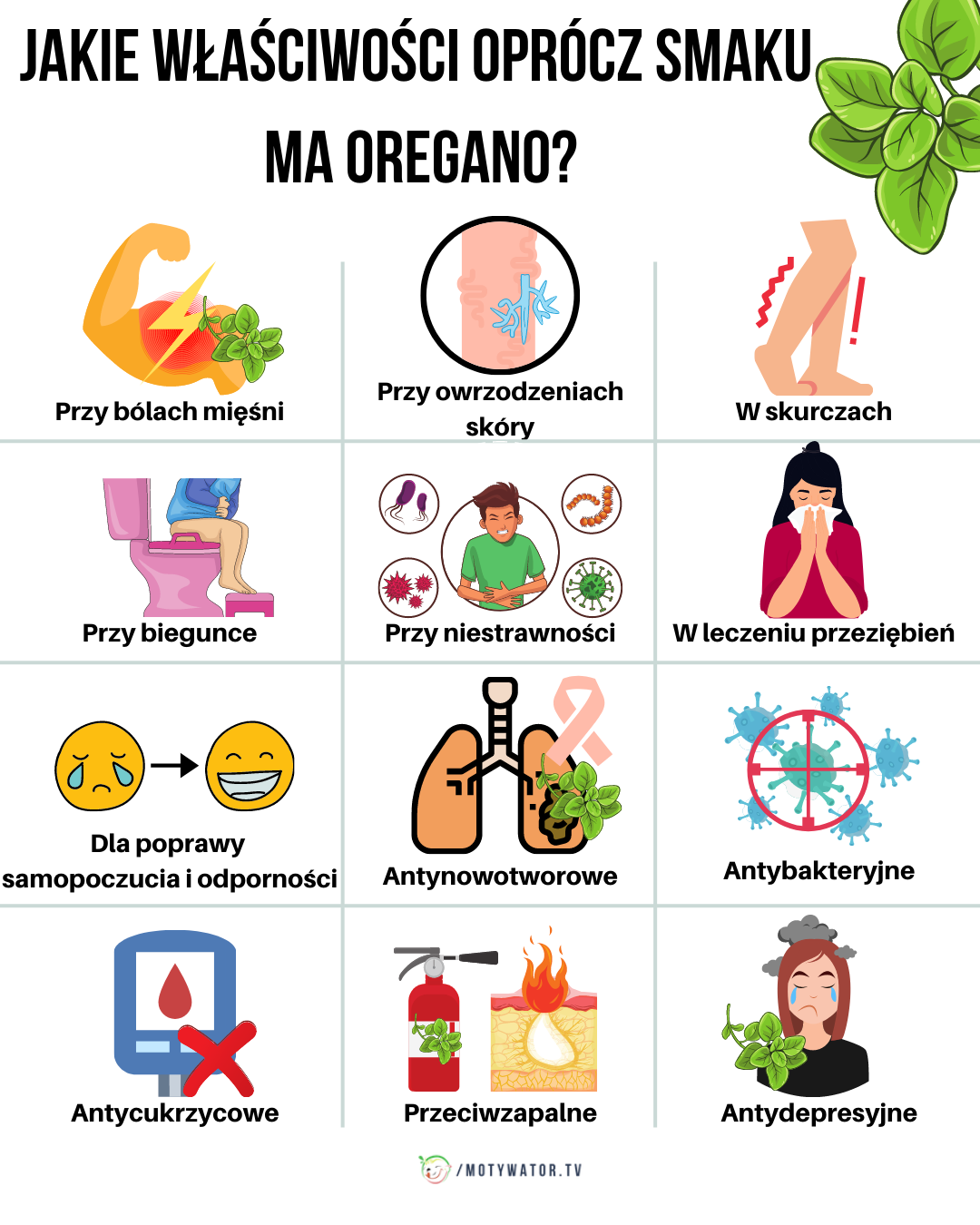 Jakie właściwości oprócz smaku ma oregano ?