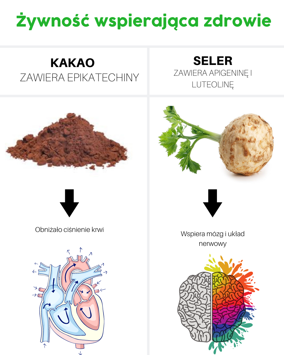 Żywność wspierająca zdrowie - kakao, seler