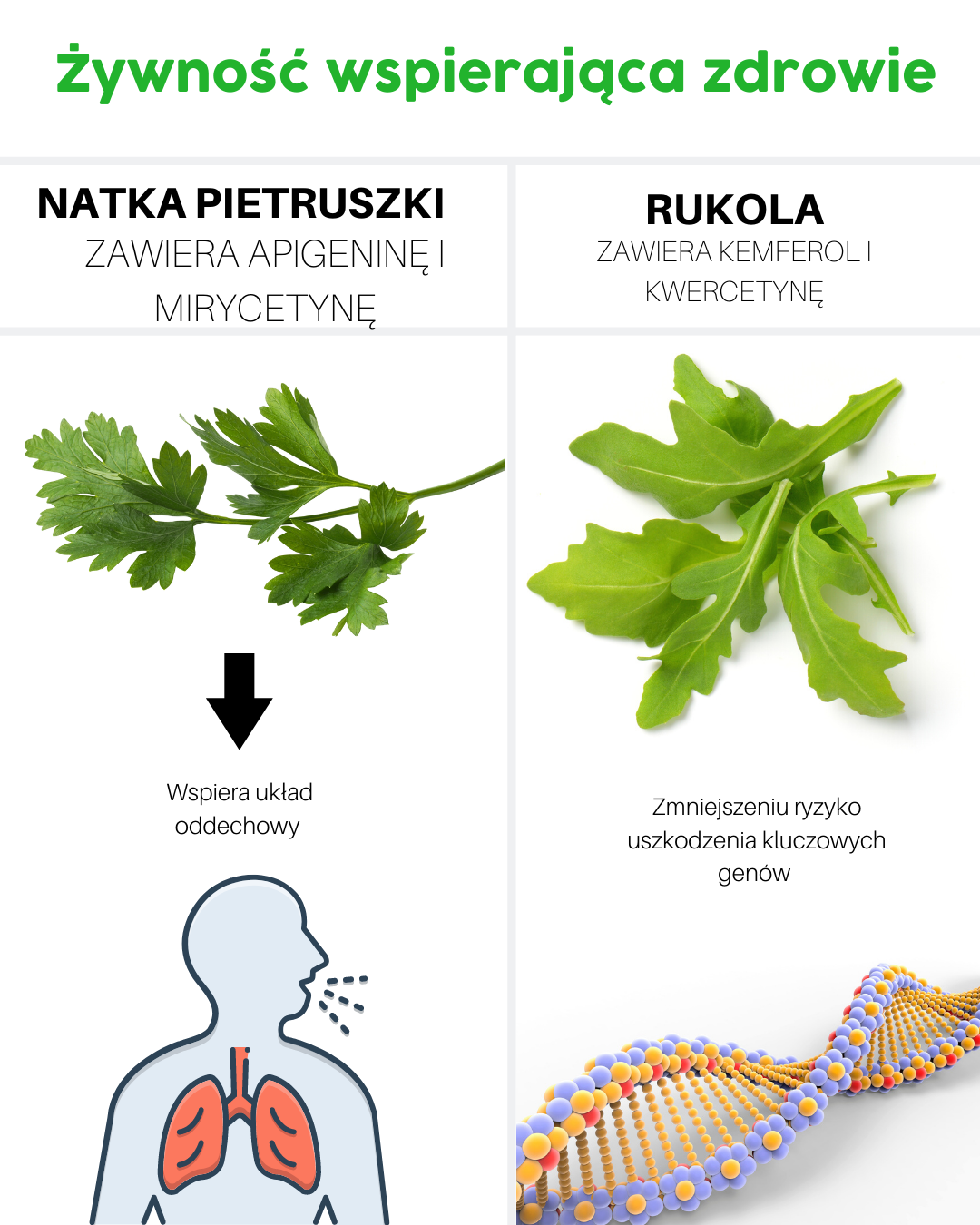 Żywność wspierająca zdrowie - natka pietruszki, rukola.