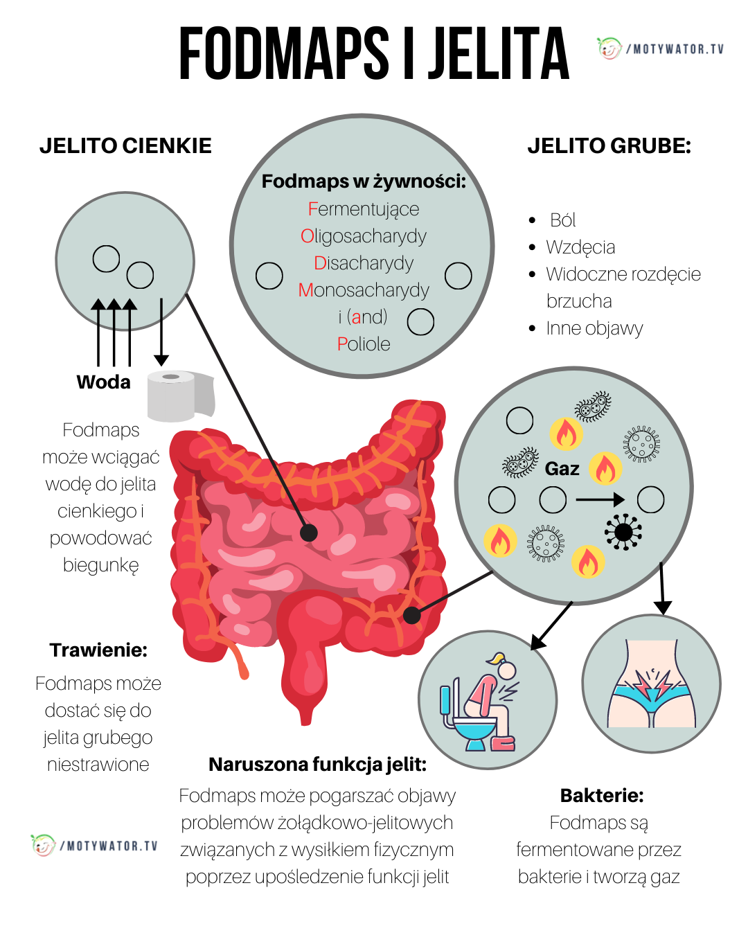 Fodmaps i jelita