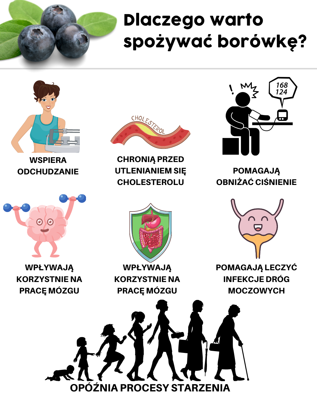 Borówka – 10 korzyści zdrowotnych potwierdzonych przez naukę