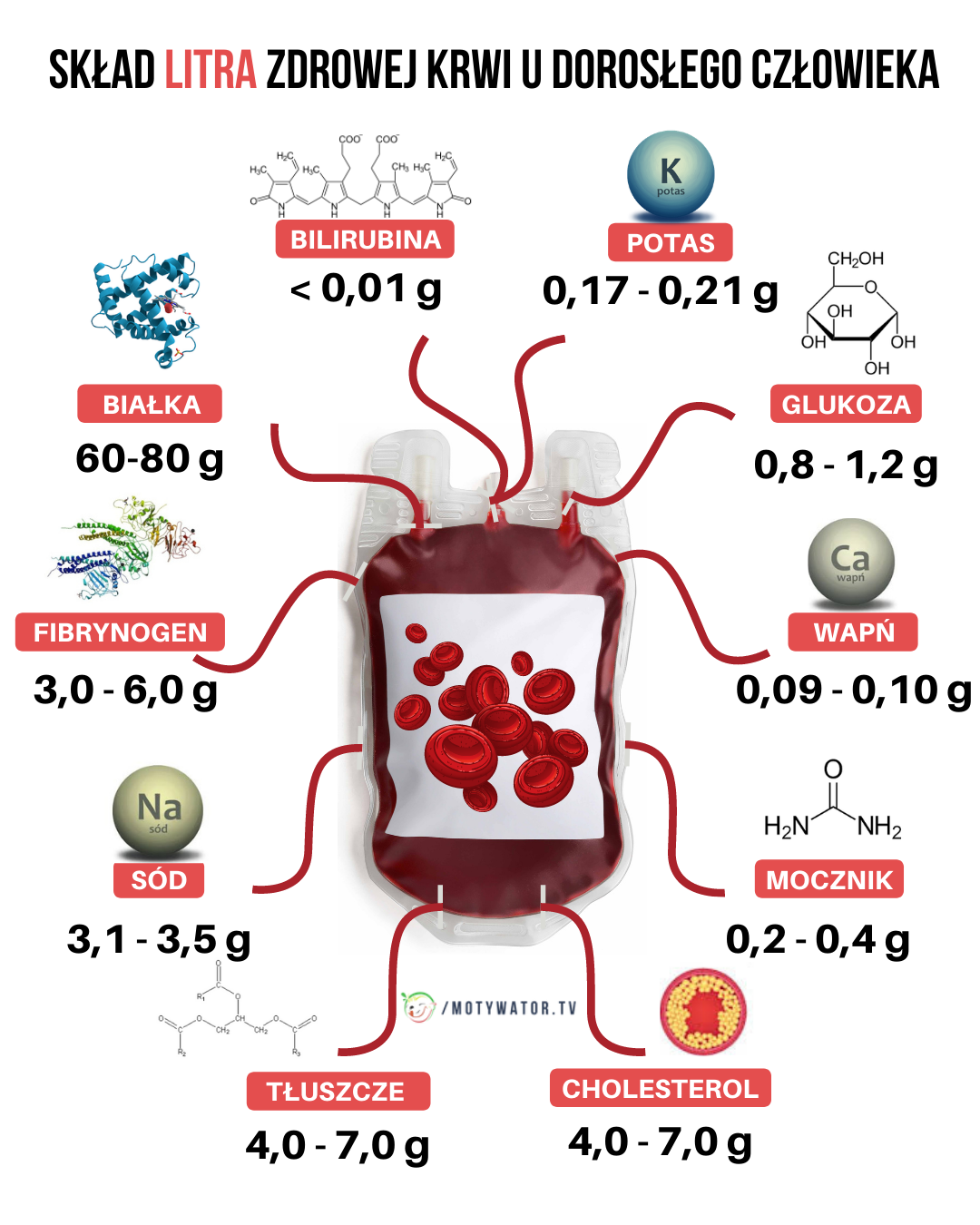 To badanie pokaże czy twoje ciało jest zdrowe. Morfologia krwi – jakie choroby może ujawnić? Zdrowa krew