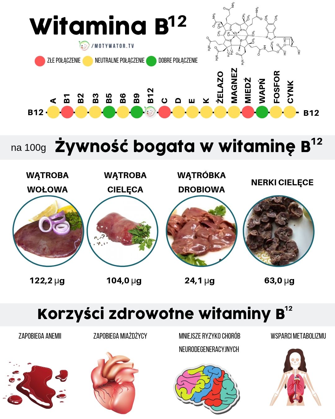 Wszystko o witaminie B12 kobalamina – dawkowanie, najlepsze źródła, korzyści, przeciwwskazania.
