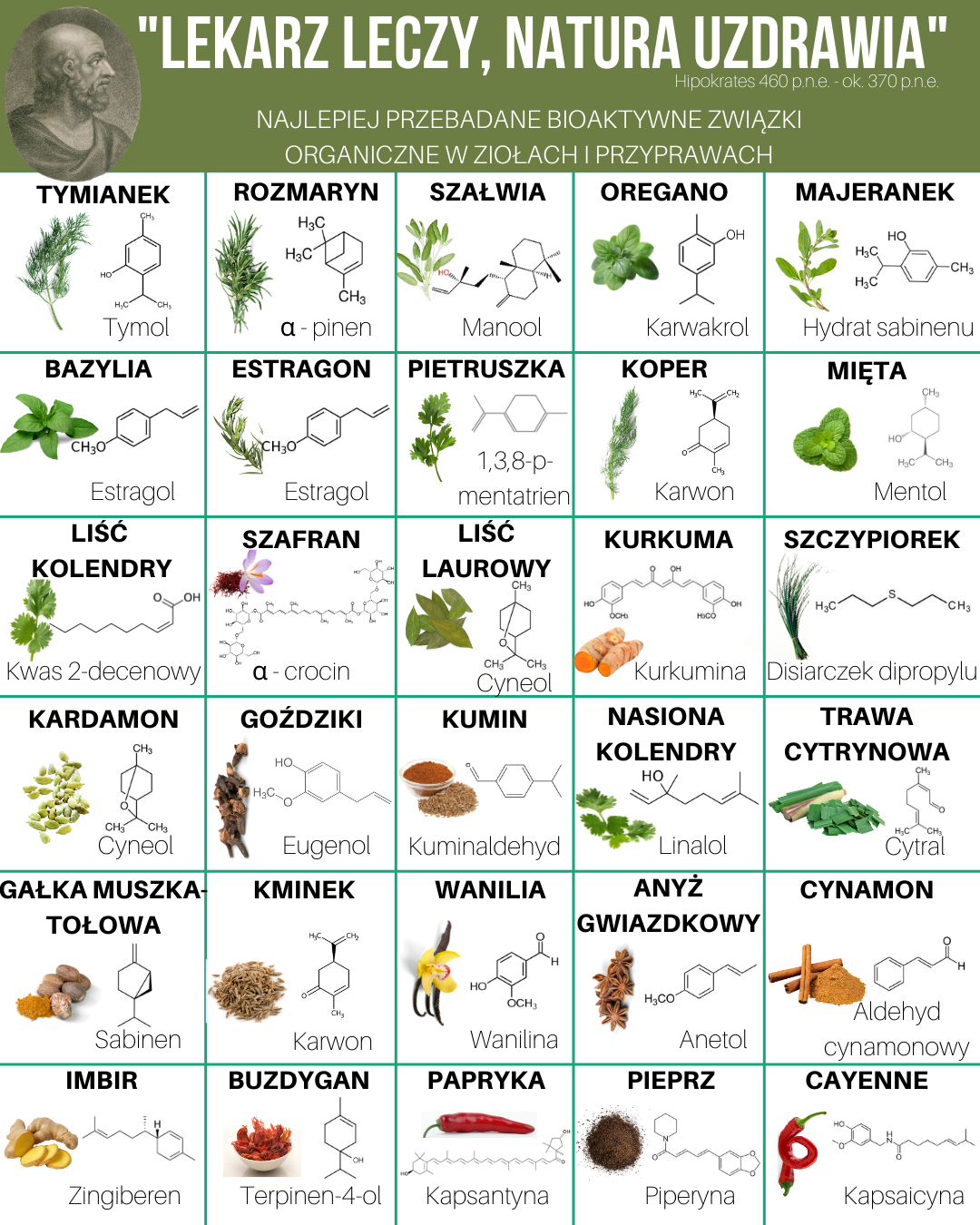 Najlepiej przebadane przyprawy i zioła pod kątem zdrowotnym „Lekarz leczy, natura uzdrawia”
