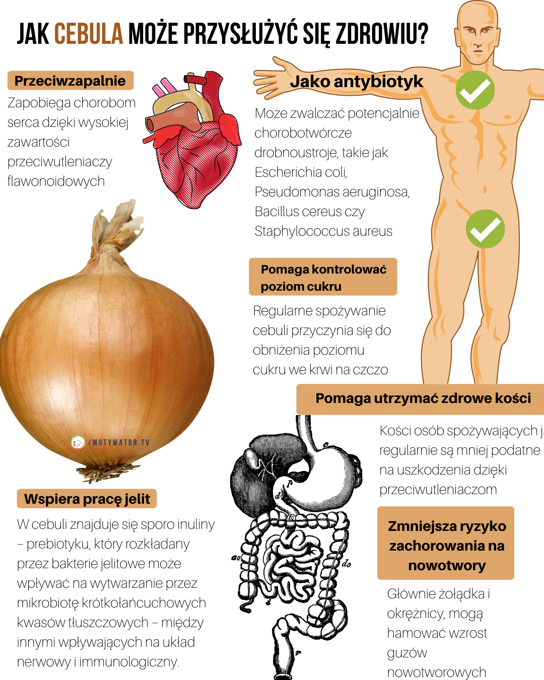 9 Imponujące korzyści zdrowotne płynących z jedzenia cebuli