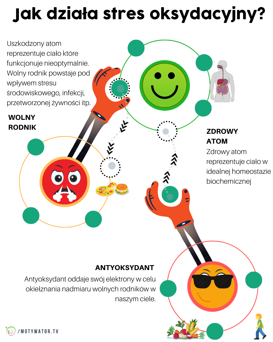 Co musisz wiedzieć o stresie oksydacyjnym?