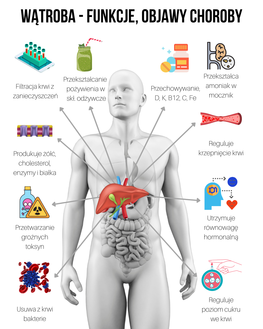 Chora wątroba – jakie badania zrobić? Twoja krew ujawni problemy
